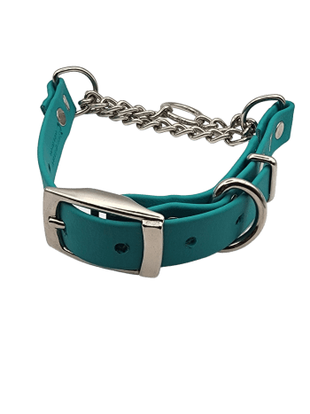 Martingale Dog Collar Teal