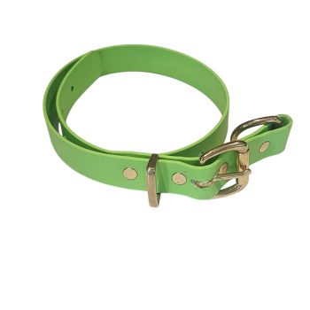 Biothane Collar - Fluro Green