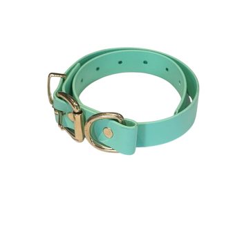 Biothane Collar - Mint