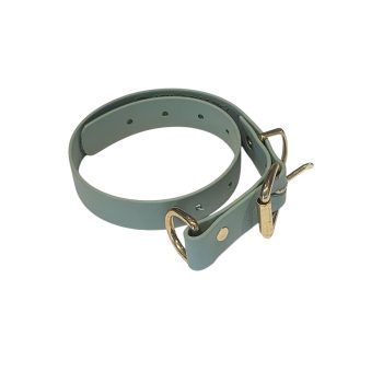 Biothane Collar - Sage